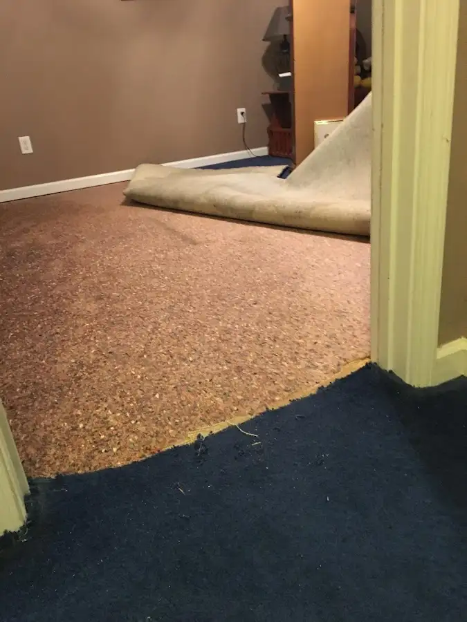 Carpet pad removal revealing water damage during Drying & Dehumidification in Hillsdale